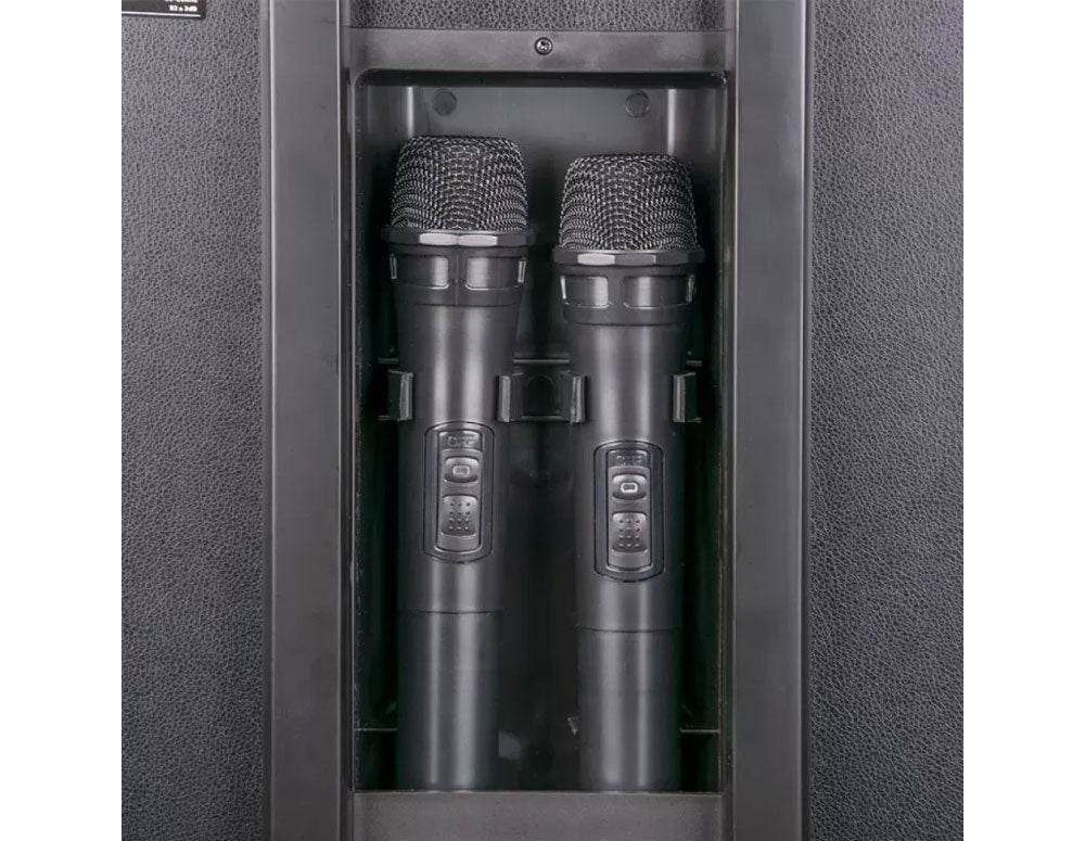 Sistem karaoke portabil ZEPHYR ZP 9999 2G12, 2x12 inci, Bluetooth, USB, mufă chitară, AUX, 2 microfoane, telecomandă 